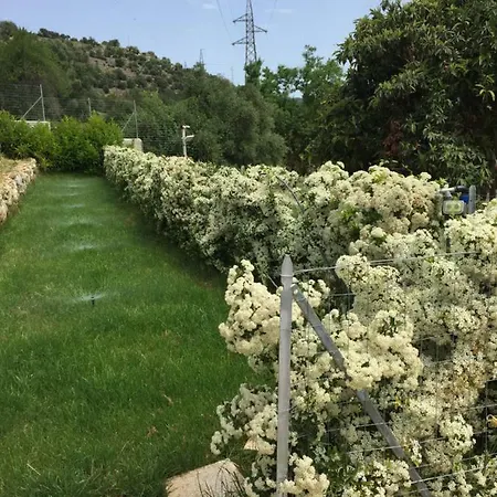 Affittacamere A Casa Ranni