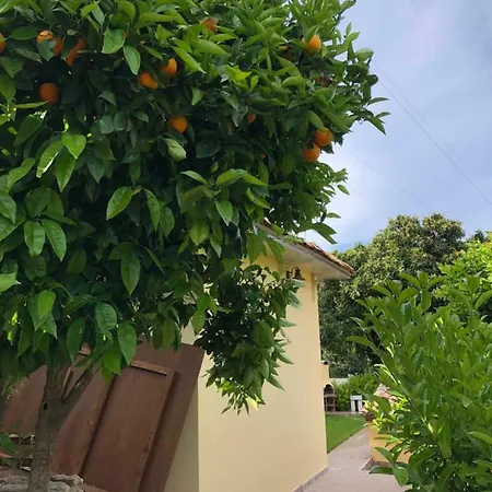 Affittacamere A Casa Ranni